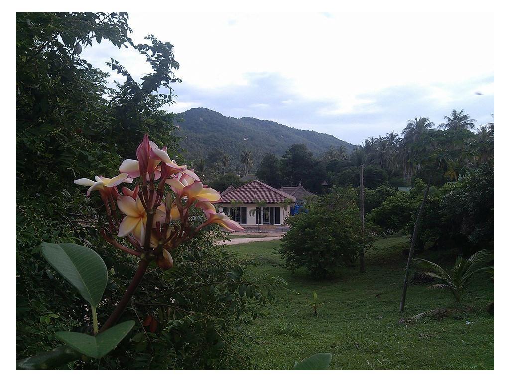 The Best Hostel Ko Tao Luaran gambar